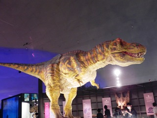 s-22020830-Dinosaur Museum (1).jpg
